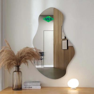 Irregular Decorative Wall Mirror
