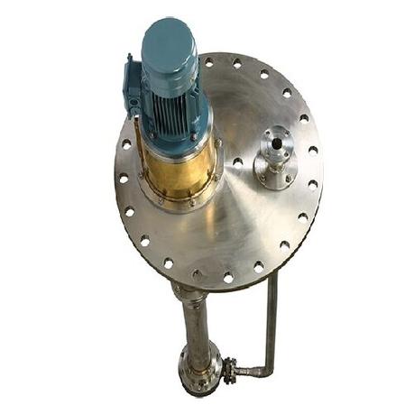 LYLYO 시리즈 긴 샤프트 잠수 펌프(VS4)