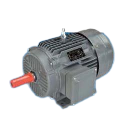 YE2 series high efficiency three-phase asynchronous motor