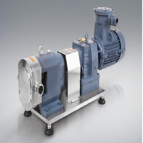 로타리 로브 펌프