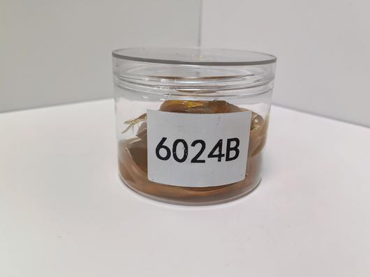 lubricating grease 6024B