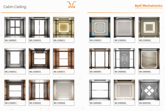 BYDI لفٹ کے پرزے